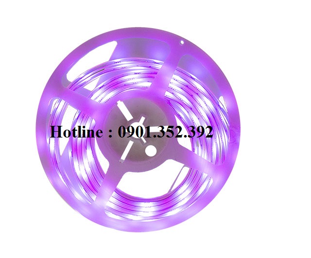 Led dây Meanwell IRL-RGB-01