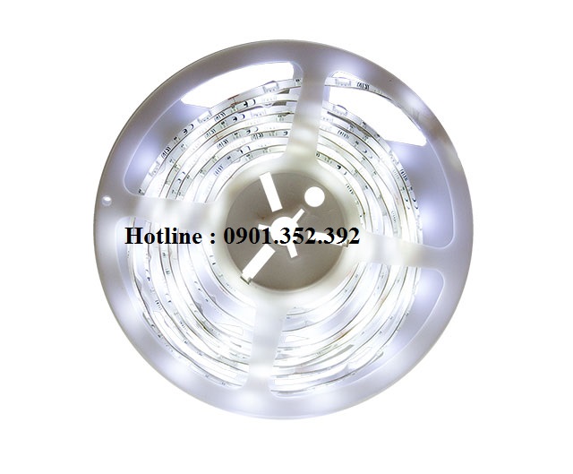 Led dây Meanwell NCL-CL1-01