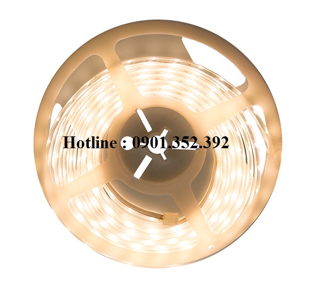 Led dây Meanwell IRL-CL2-01