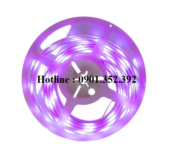 Led dây Meanwell IRL-RGBW-01